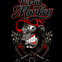 Vectores - Mono DJ gritón